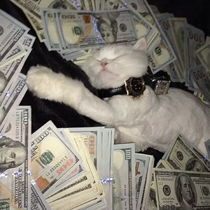 干大屁股老肥婆
