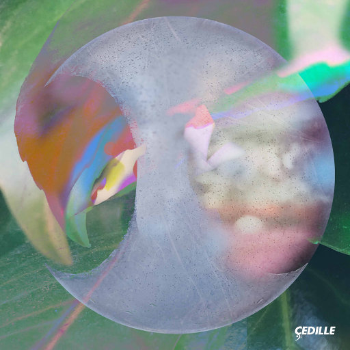 青青草国产精品欧美成人
